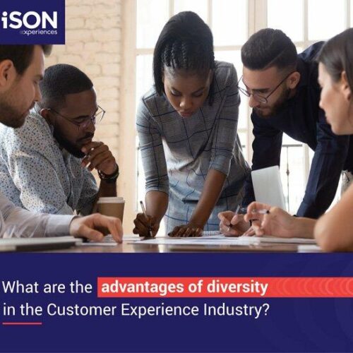 What are the advantages of diversity in the Customer Experience Industry?